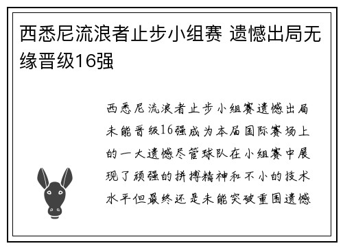 西悉尼流浪者止步小组赛 遗憾出局无缘晋级16强