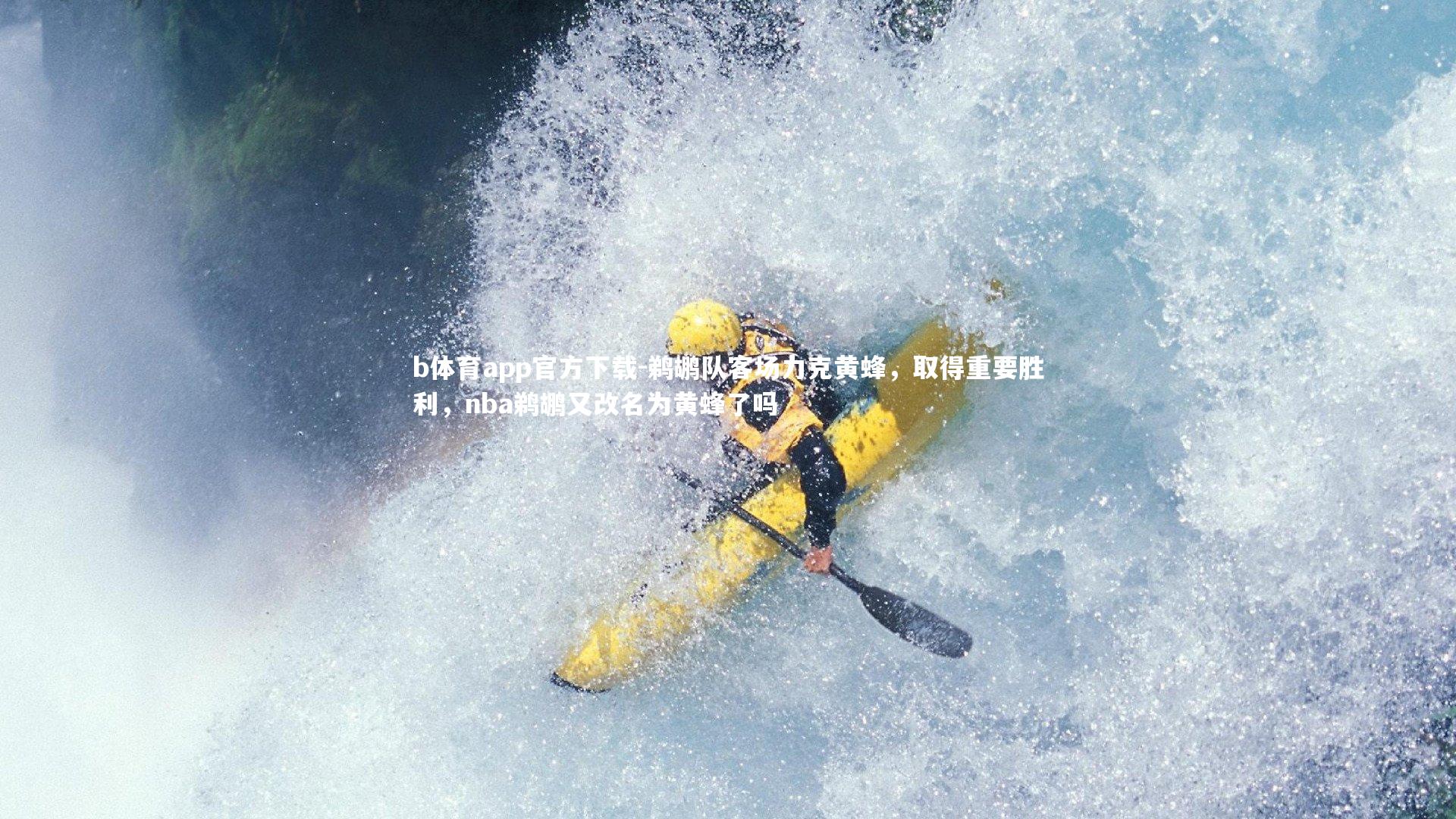 b体育app官方下载-鹈鹕队客场力克黄蜂，取得重要胜利，nba鹈鹕又改名为黄蜂了吗
